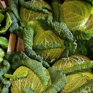 Chou vert frisé (pièce)