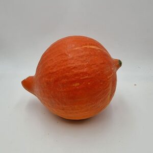 Courge Potimarron - au kilo