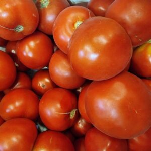 Tomate sauce 10kg