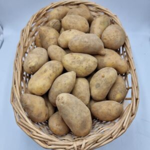 Variété GOURMANDINE (Filet de 5kg)