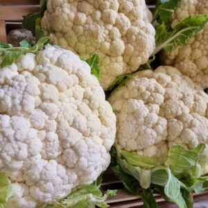 choux Fleurs
