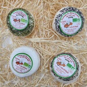 Chèvre frais aromatisé - 100g