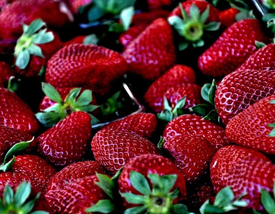 Fraises de Ferme Reymann-min