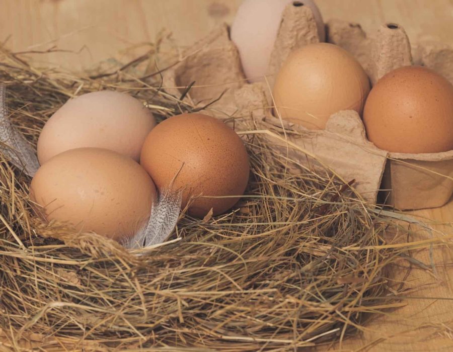 Oeufs Ferme Reymann 3-min