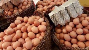 Oeufs Ferme Reymann-min