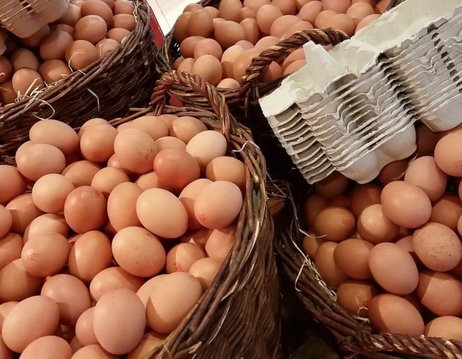Oeufs Ferme Reymann-min