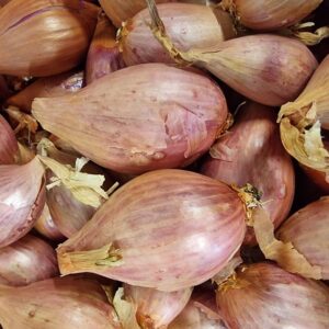Échalote (au kilo)