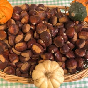 Marron (au kilo)