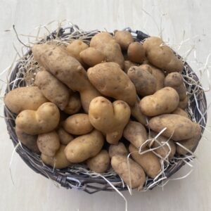 Ratte (Misserla) - Filet de 5kg