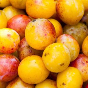 mirabelle