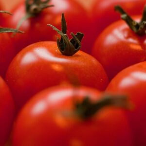 Tomate ronde (au kilo)
