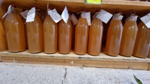 Jus de POMME – BIO