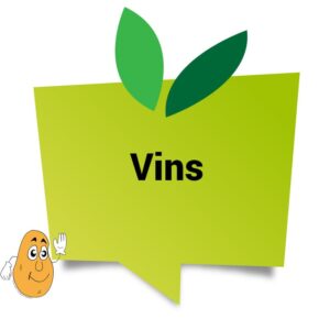 Vins