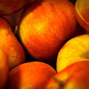 Pomme Boskoop